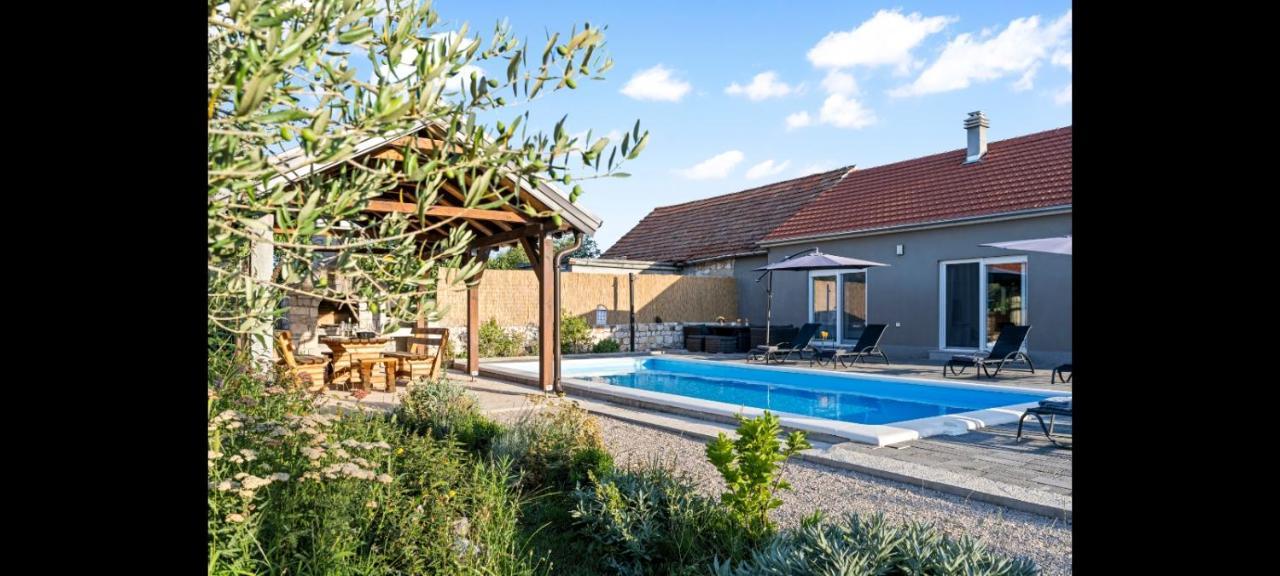 فيلا Olive Tree House With Jacuzzi, Wifi And 40M2 Pool Siritovci المظهر الخارجي الصورة