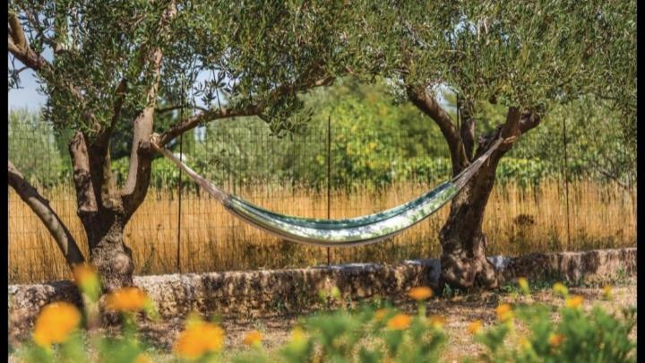 فيلا Olive Tree House With Jacuzzi, Wifi And 40M2 Pool Siritovci المظهر الخارجي الصورة